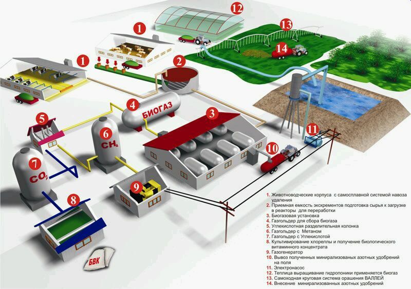 Биогаз из биомасс