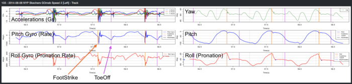 Raw Data available w/ runScribe Science