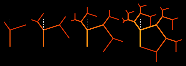 Prikljuchenija-v-matematicheskom-lesu-fraktalnyh-derevev_41.gif