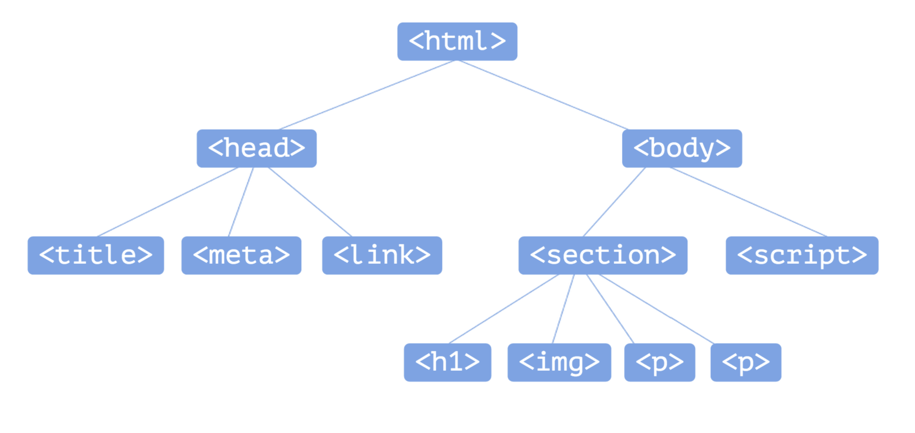 Section scripts