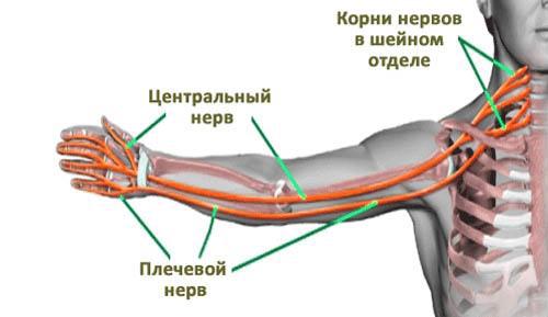 Будущее и настоящее нейроимплантов и нейроинтерфейсов - 1