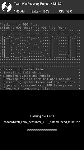 Kali NetHunter. Мобильная pentest-платформа - 12