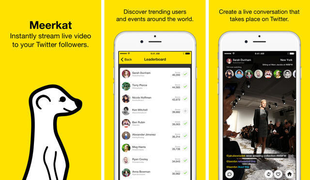 История Meerkat: как взлететь с помощью сторонней платформы и пострадать от нее же - 1