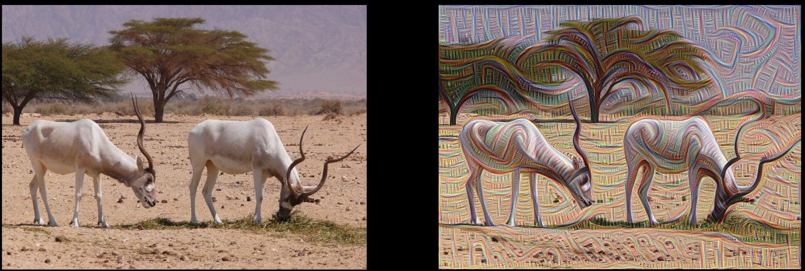 DeepDream — Визуализатор работы нейросети - 1