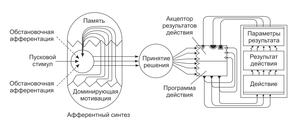 Схема поведенческого акта с позиции теории функциональных систем анохина