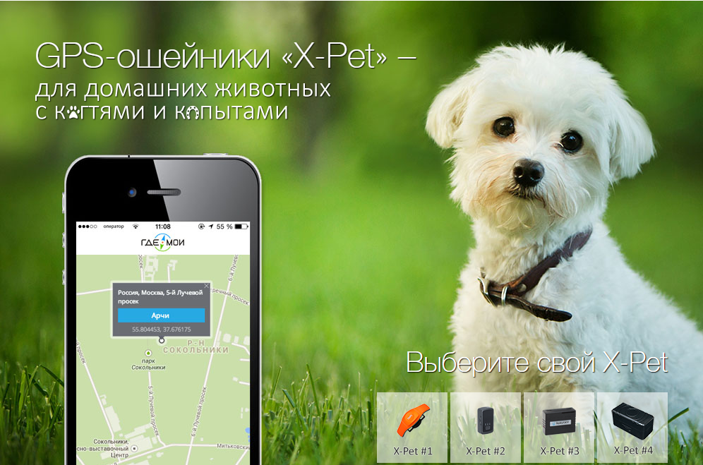 GPS-сервисы для животных: у нас и у них - 6