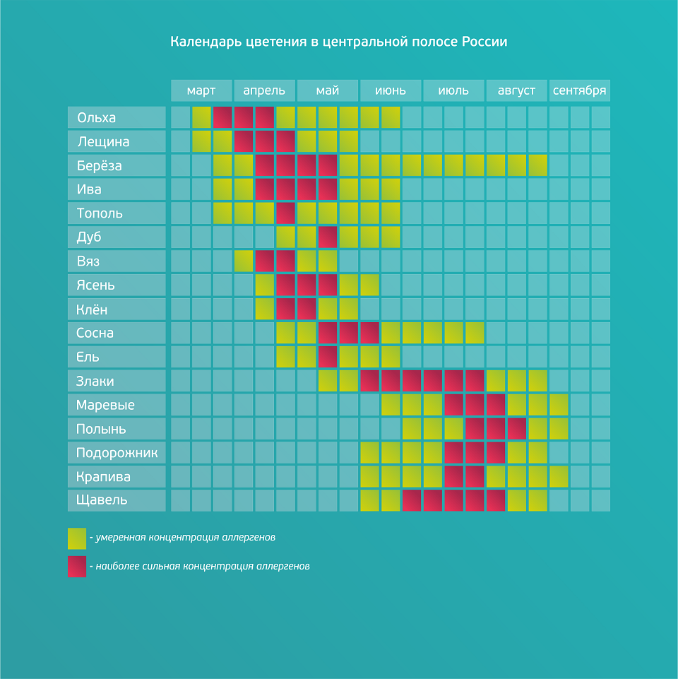 Пыльца деревьев карта