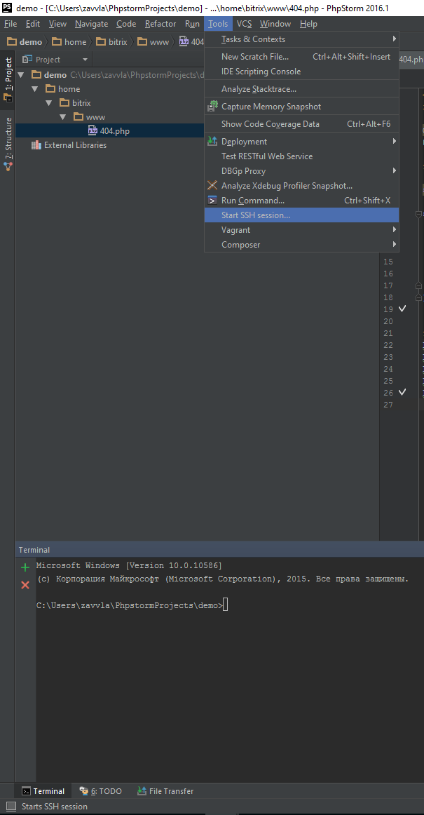 Настройка PhpStorm для вёрстки на ОС Windows - 52