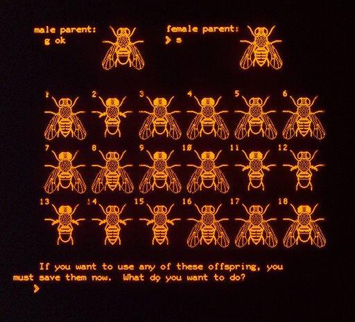 Трогательная история: от первых тачскринов до будущего с Surfancy - 21