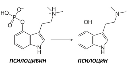 Нетрадиционные антидепрессанты - 3