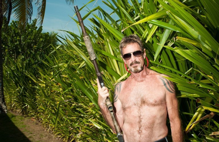 Джон и компания McAfee. История порознь и сообща - 1