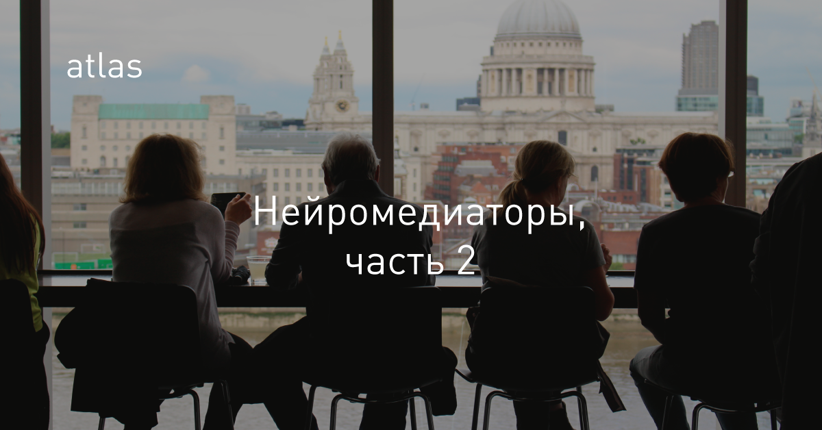 Нейромедиаторы, часть вторая: аденозин, ацетилхолин, глутамат и гамма-аминомасляная кислота - 1