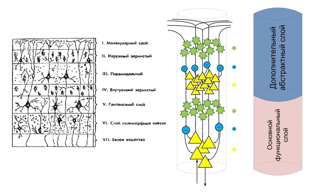 Структура и стартовые настройки мозга - 18