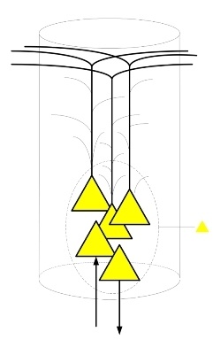 Структура и стартовые настройки мозга - 3