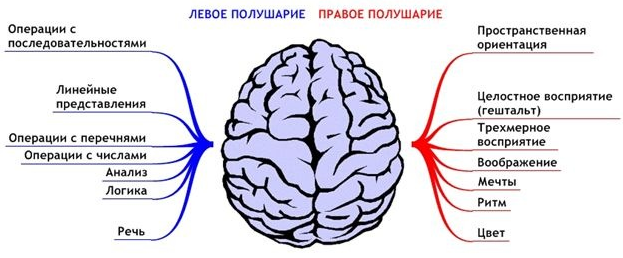 Левши — самое многочисленное «меньшинство» планеты - 2