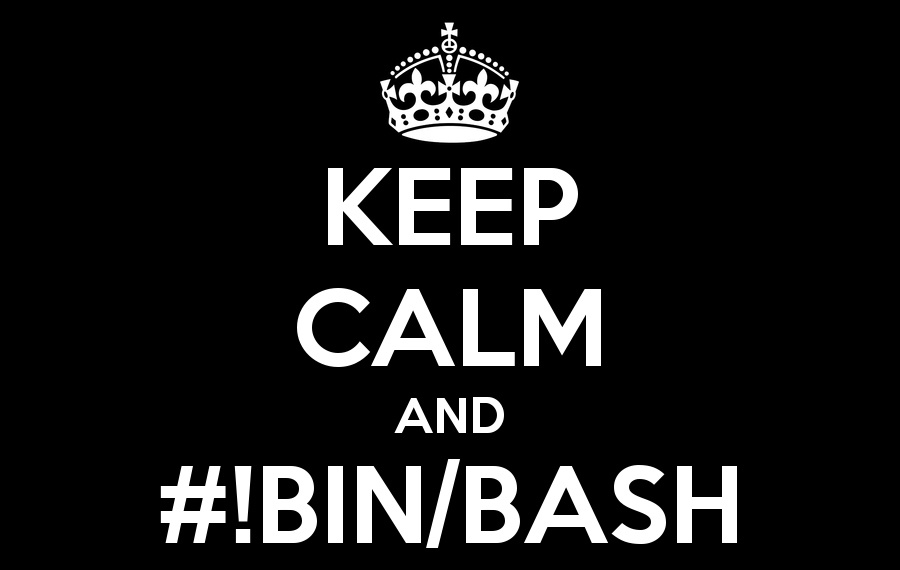 Bin bash m