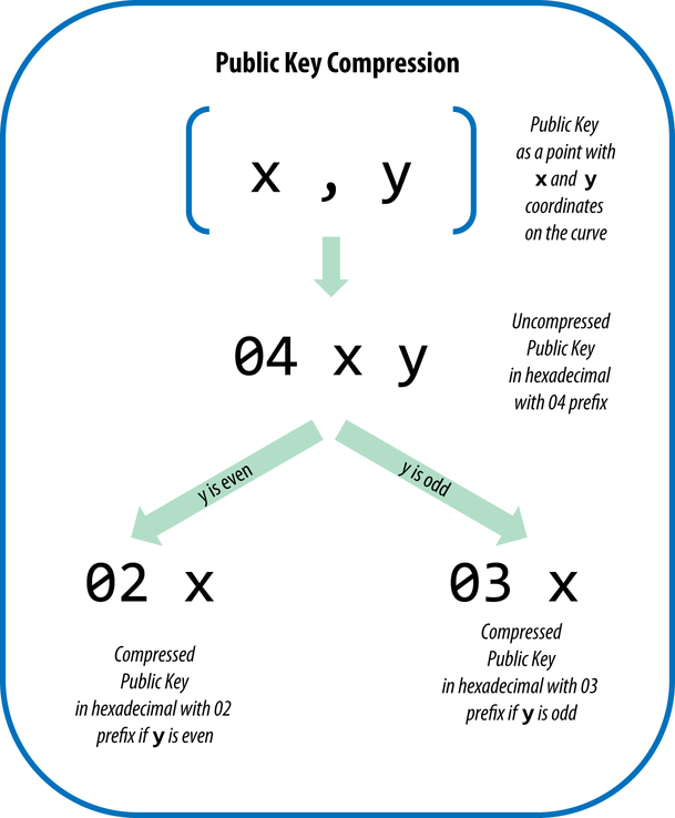 Compressed public key