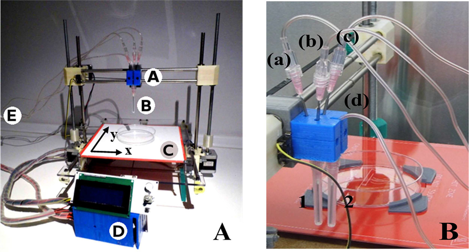 3D-принтер на Arduino печатает функциональную человеческую кожу - 2