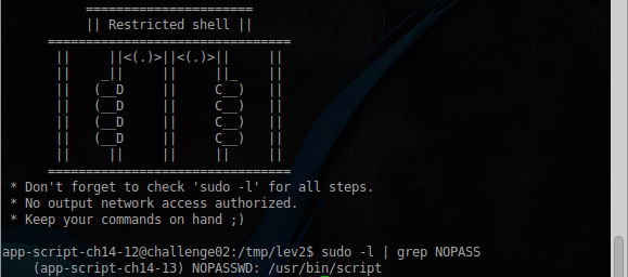 Не доверяйте SUDO, она может вас подвести - 15