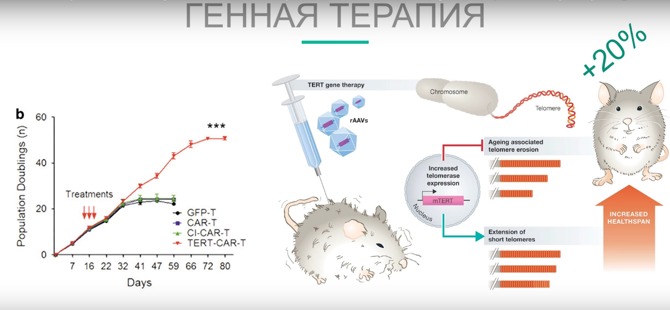 Радикальное продление жизни: вещества против старения - 9