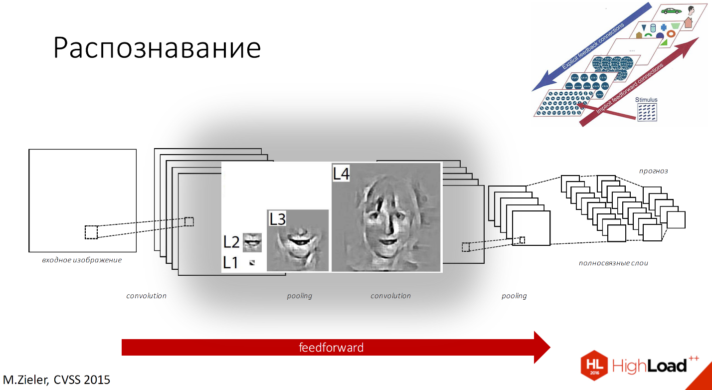 Как нейросеть распознает изображение