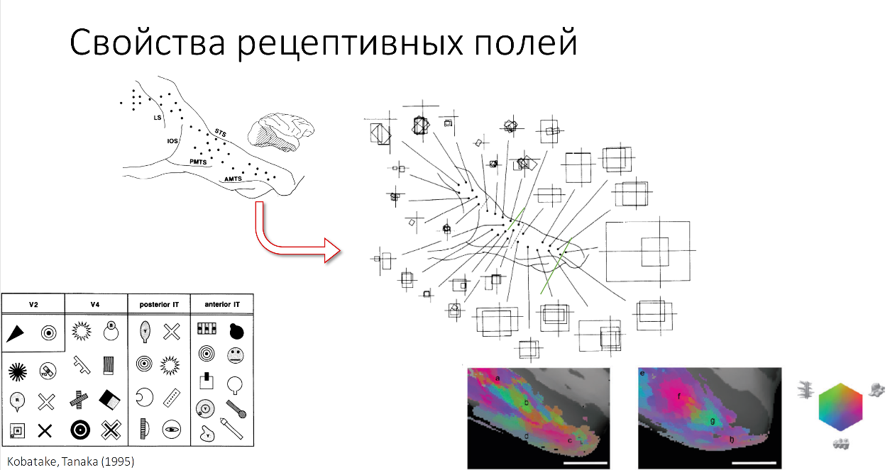 Нейросеть для написания вывода. Нейронные сети в медицине. Использование нейронных сетей в медицине. Распознавание запахов нейронная сеть. Перспективы применения нейронных сетей.