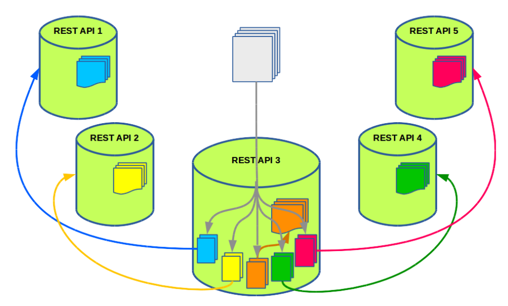 Apis members