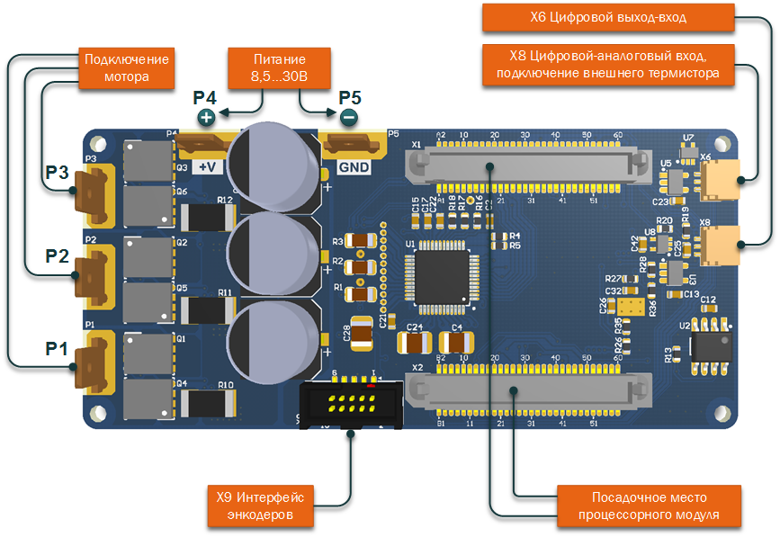 The module project