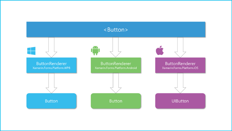 Xamarin структура проекта