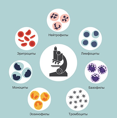 Клинический анализ крови: от светового микроскопа к гематологическим анализаторам - 2