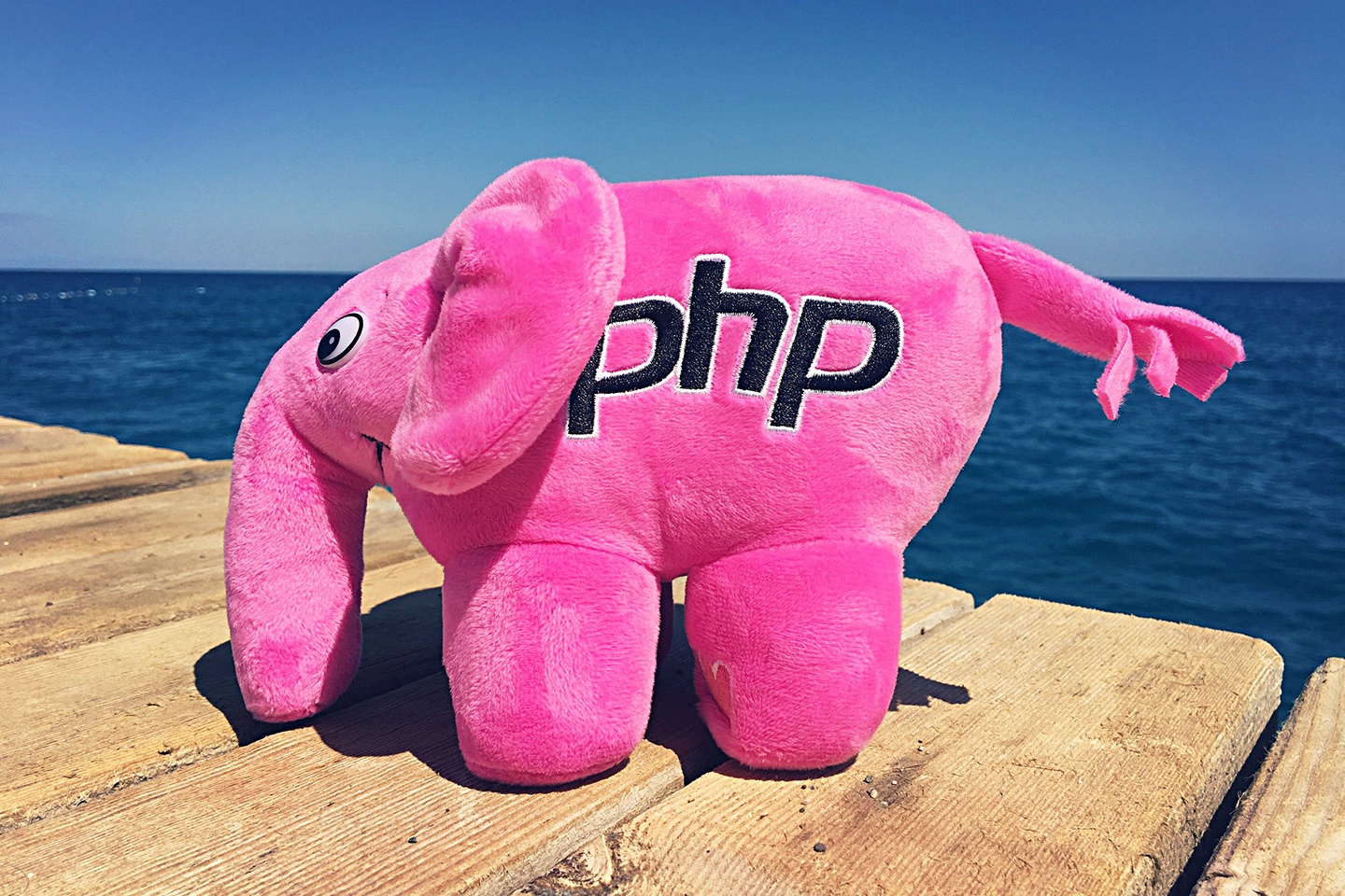 Зверь php. Animals php.