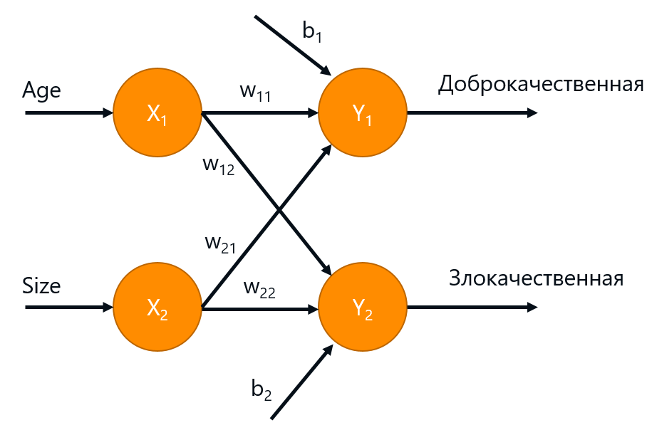 1 сентября – день знаний. Узнайте всё необходимое про нейронные сети - 2