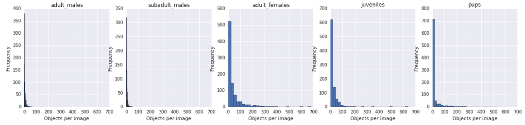 Kaggle: как наши сеточки считали морских львов на Алеутских островах - 12