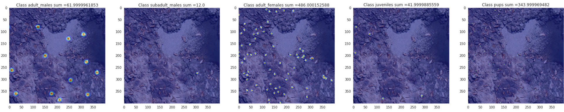 Kaggle: как наши сеточки считали морских львов на Алеутских островах - 14