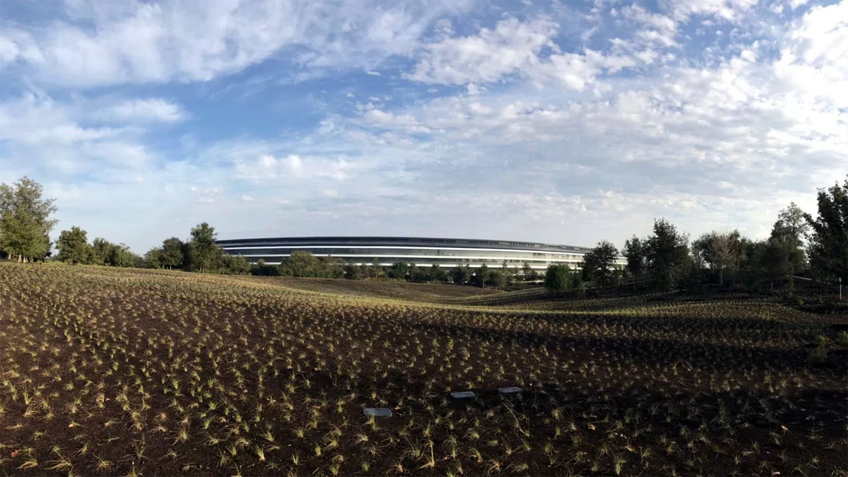 Apple Park: круче айфона? - 5