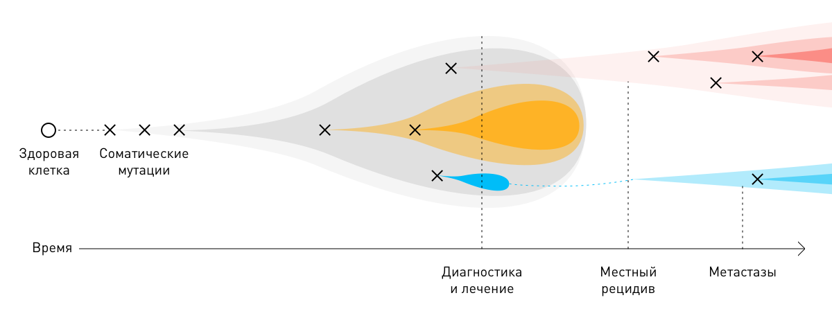 Что за болезнь: рак. Молекулярная диагностика - 2