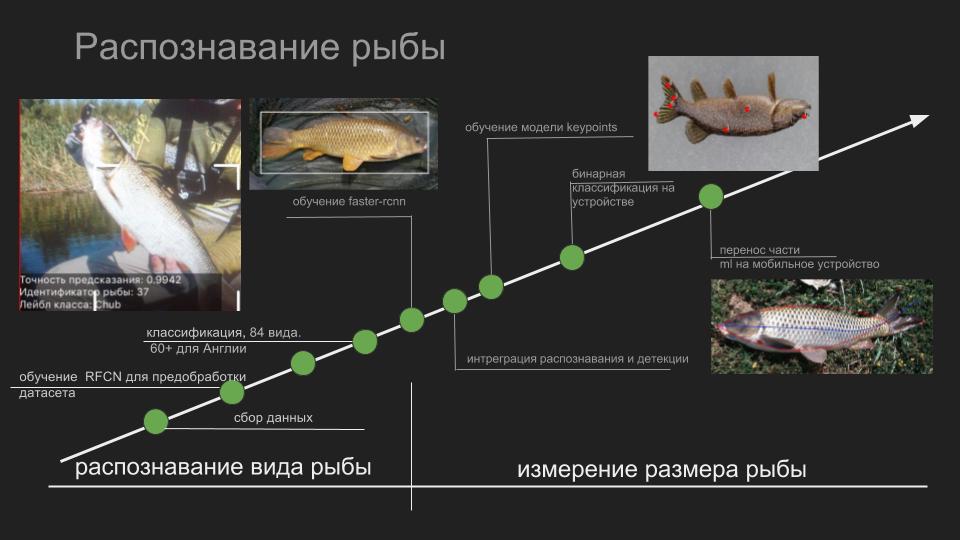 Распознавание рыбы по фото