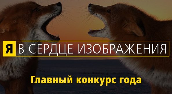 Стартовал ежегодный фотоконкурс Nikon