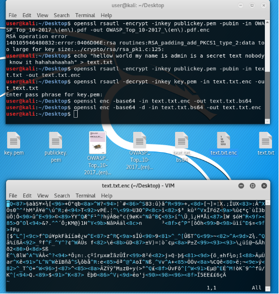 Openssl legacy