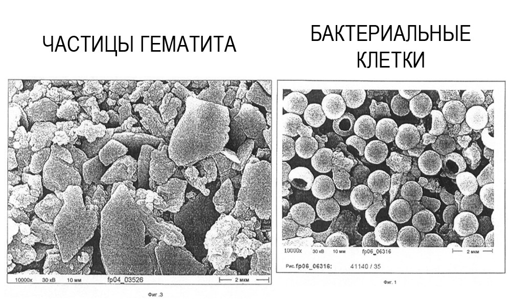 Кто мутит воду? Большое подробное сравнение-тест бытовых фильтров для очистки воды - 16