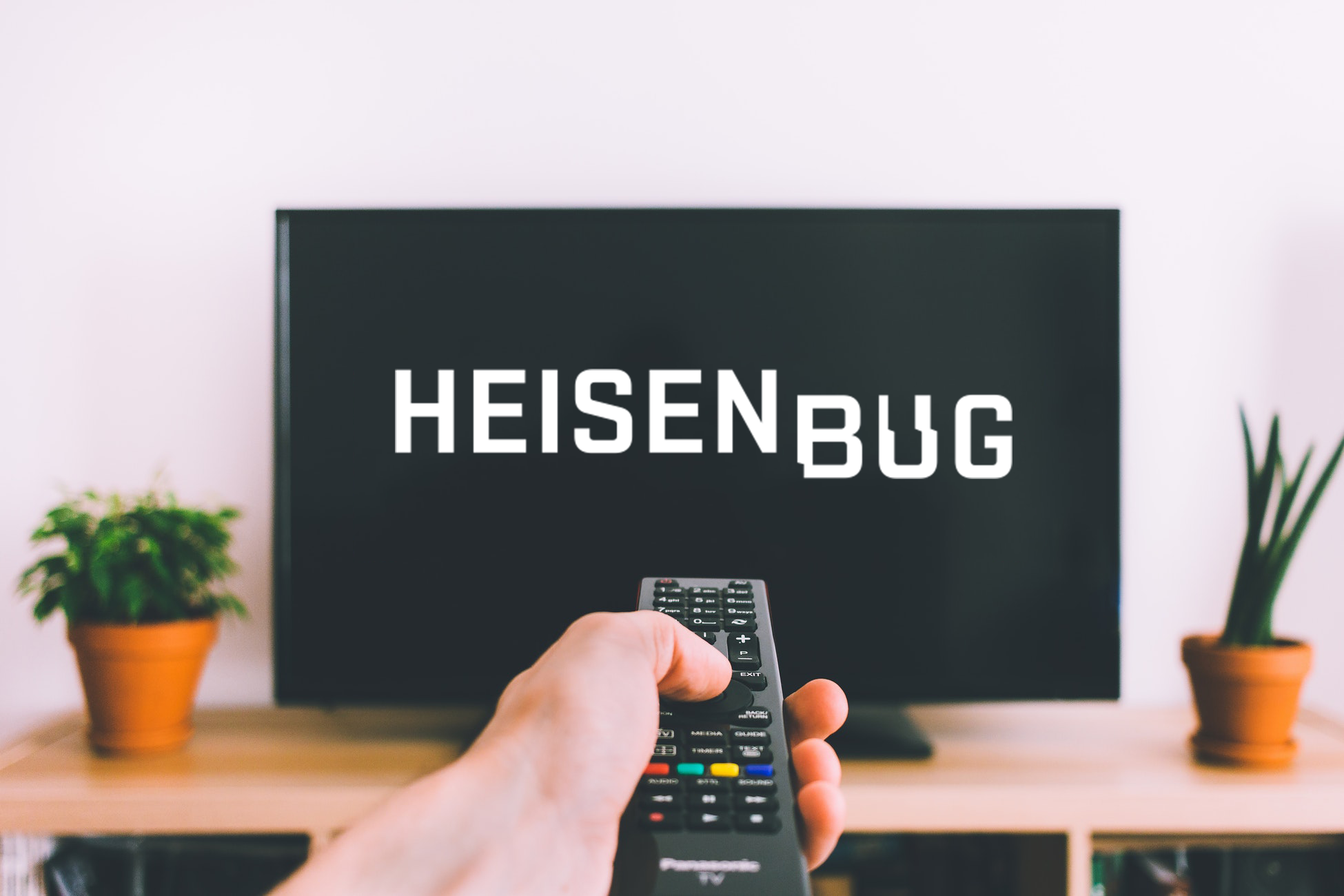 Бесплатная трансляция. Heisenbug. Гейзенбаг. Купить Heisenbug.