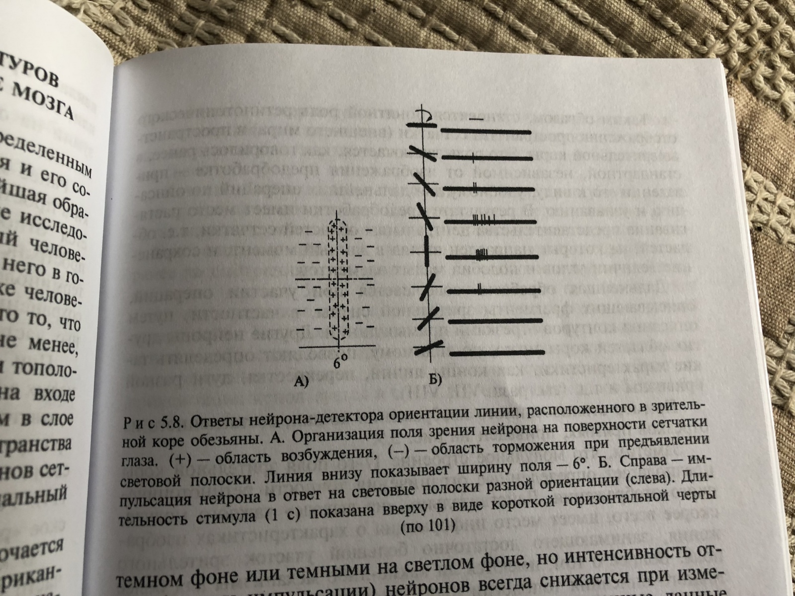 Прочитайте текст гуманитарии и технари расположенный справа