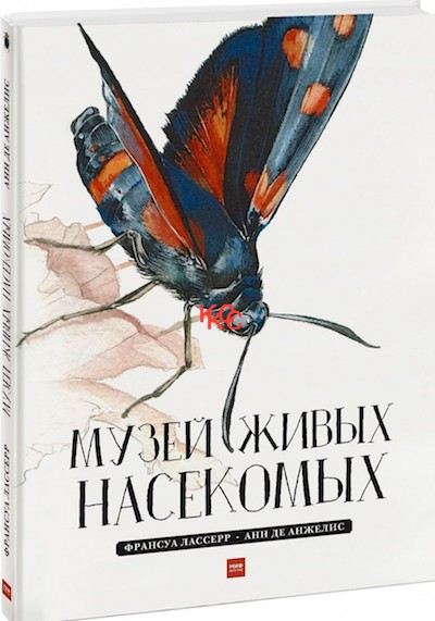 5 хороших книг на каникулы