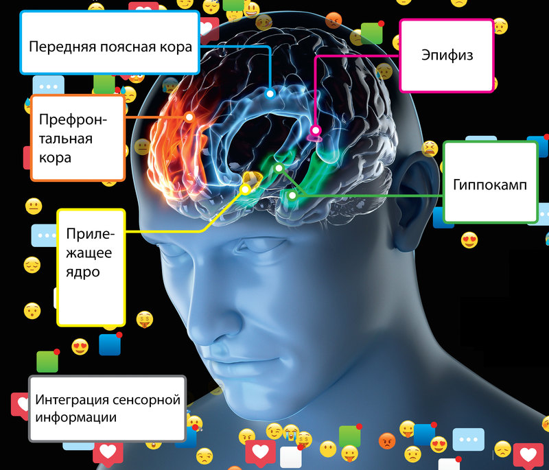 Смартфоны опасны, или как гаджеты разрушают социальные связи