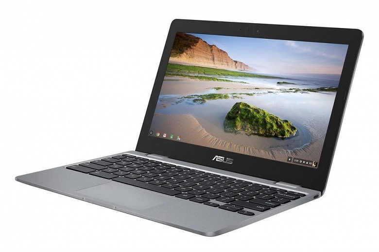 Asus Chromebook 12 C223