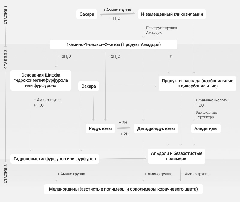 Почему мы любим мясо, или Полный курс мясной химии