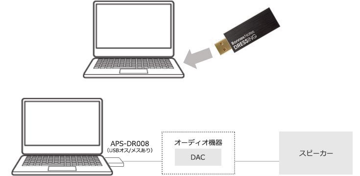 Устройство Pioneer BonnesNotes Dressing APS-DR008 стоимостью 310 долларов призвано улучшить звук ПК