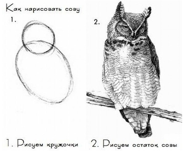 Как наконец-то начать писать тесты и не пожалеть об этом - 2