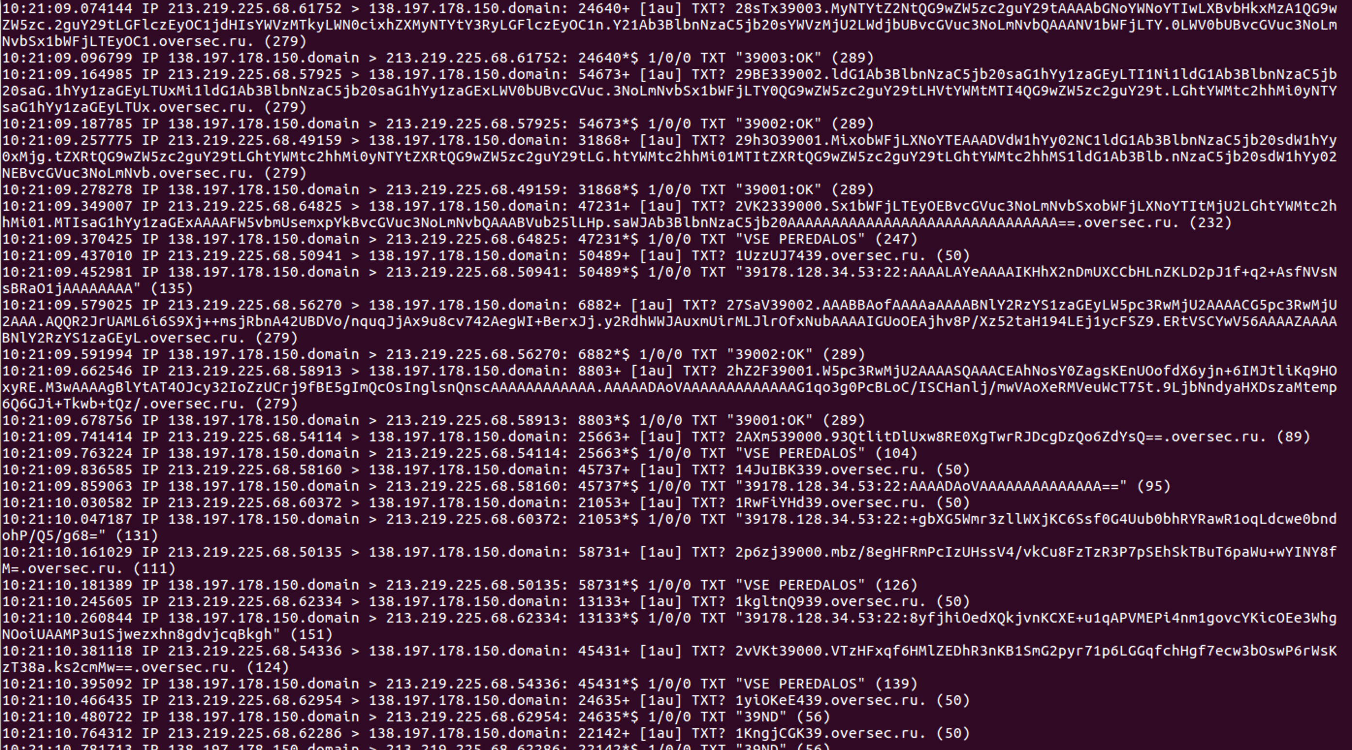 Самый большой dns в тольятти