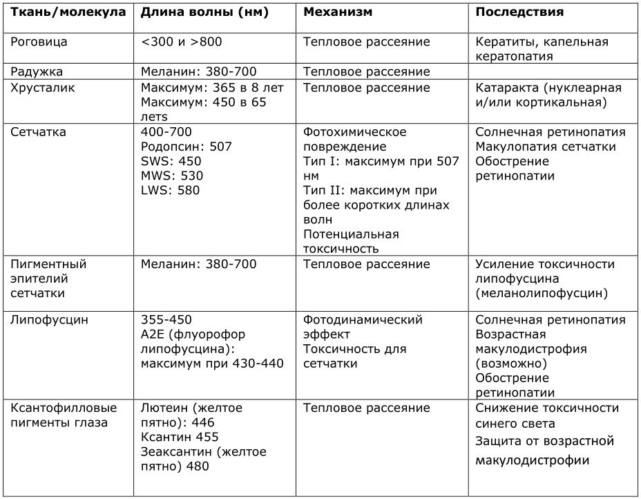 Как спастись от «зайцев». Инструкция по борьбе с ультрафиолетом - 25